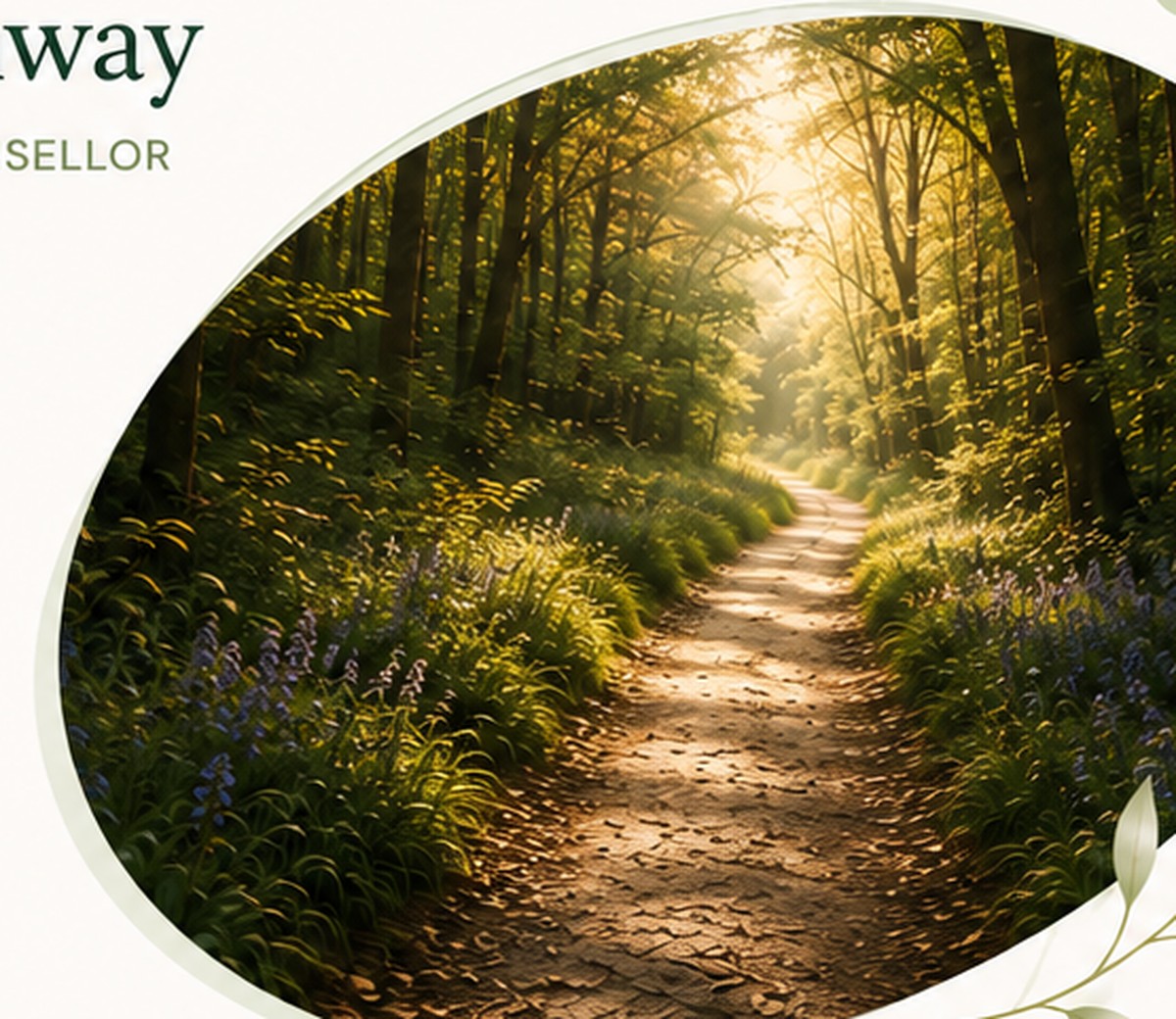 A peaceful woodland path leading forward through the trees